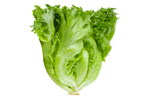 veg_4